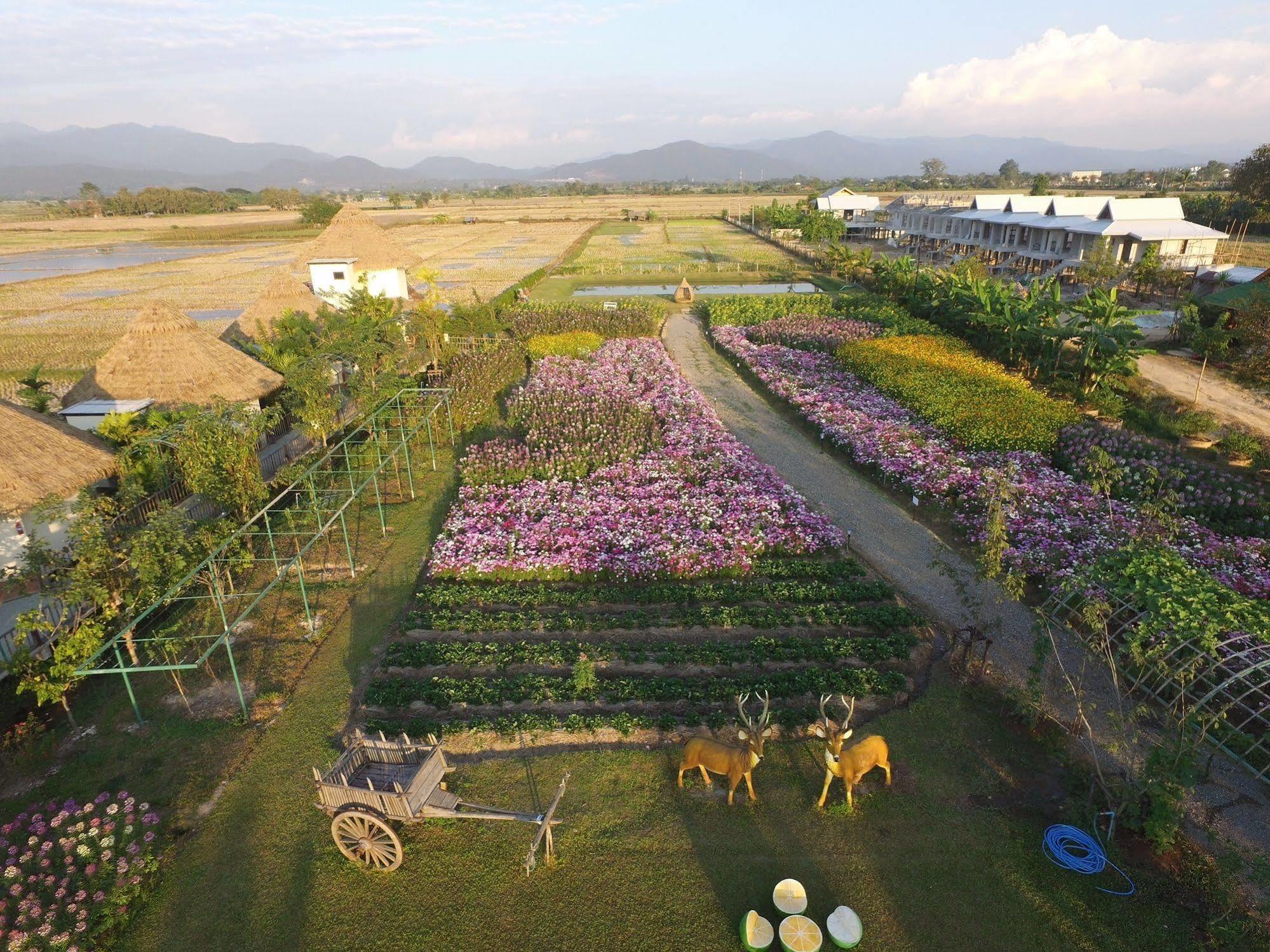 Phusanfah Resort Landkreis Landkreis Mae Taeng Exterior foto